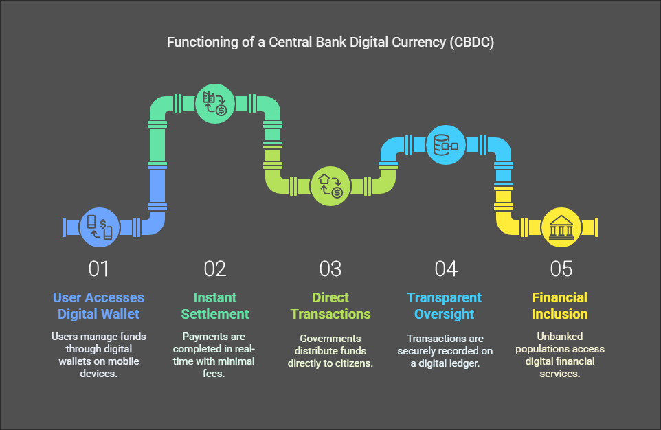 How Does a CBDC Work?