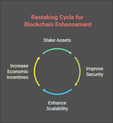 Cycles of Restaking in crypto assets