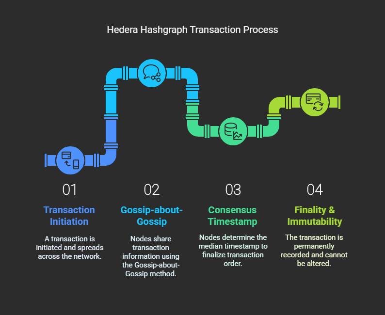 How Does Hedera Hashgraph Work?